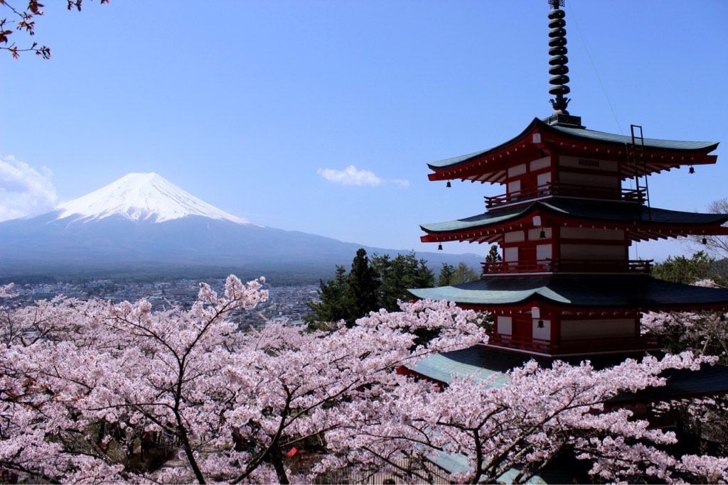 分类-在日趣闻-同舟