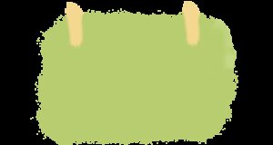 10月14日｜上高地秋色漫步之旅-同舟