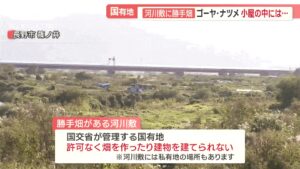 中国大爷大妈组团到日本非法种菜,有人用20年将国有河道种成“开心农场”…-同舟