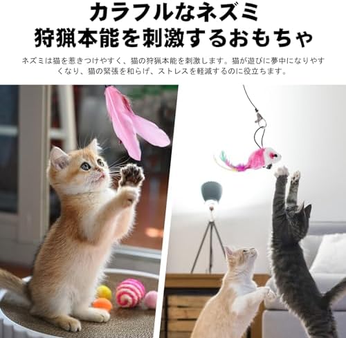 图片[5]-Oziral 猫 おもちゃ 猫じゃらし 釣り竿じゃらし+吸盤吊り上げ…-日本亚马逊论坛-海外推广-同舟