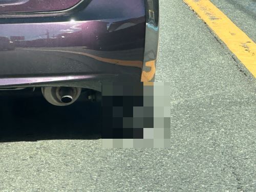 【あり得ない】ガチのマジでヤバすぎるプリウス、見つかる・・・-同舟