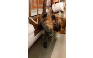 過疎ユーチューバー「電車乗ってる奴に汚物をぶっかけたら人気になれるんじゃね！？」 → 結果・・・-同舟