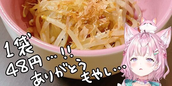 某ニュースサイト「VTuberは軽犯罪法1条22項の『乞食行為』に該当する恐れがある」-同舟