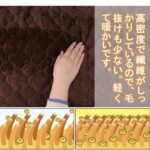 100x200 法兰绒床垫150个打包
十几元-同舟