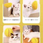 榴莲猫薄荷蹭毛器 附赠一包猫薄荷
最后5套 特价🉐 15元一套包邮-同舟