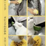 榴莲猫薄荷蹭毛器 附赠一包猫薄荷
最后5套 特价🉐 15元一套包邮-同舟