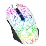 100个起海外仓发货-同舟