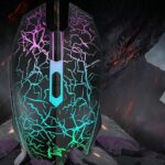 100个起海外仓发货-同舟