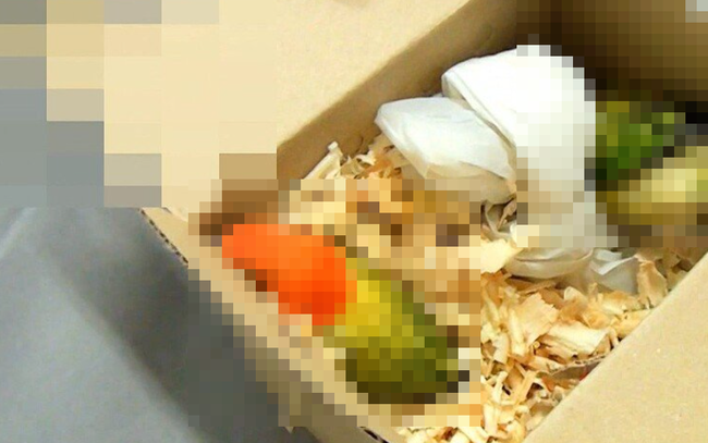 空港にて、客「この箱には酒瓶が入ってます」 職員「妙だな…酒瓶なのに軽いぞ？確認させてもらいます」  → 中からヤバすぎる物が出てくる・・・-同舟