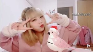 頂き女子りりちゃん4000万円脱税した疑いで刑事告発！絶対払えないだろｗｗｗｗｗｗ-同舟