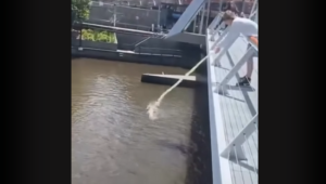 クソガキ「船に乗ってる女たちに上から牛乳ぶっかけるイタズラしたろｗ」 → シャレにならないことになる・・・-同舟