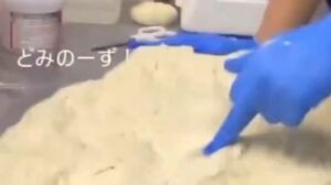 ドミノピザのバイトテロ、関与した2人が解雇！-同舟