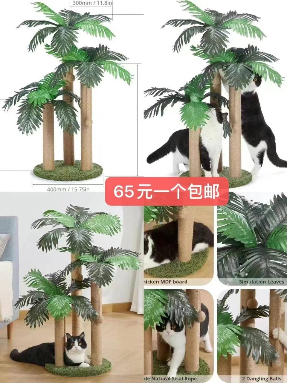 图片[8]-一个包邮-日本亚马逊论坛-海外推广-同舟