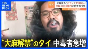 大麻の合法化に命をかけている日本人、ガチで異常すぎる動画を投稿・・・-同舟