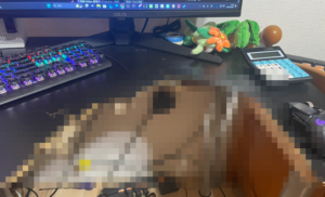 人生で初めて台パンした人、取り返しのつかない最悪なことになる・・・-同舟