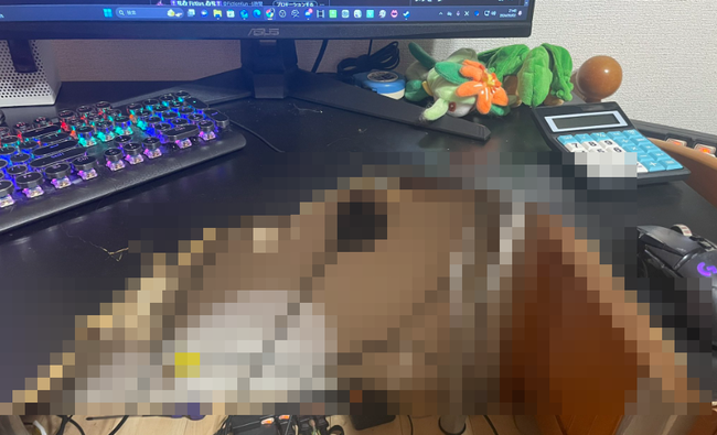 人生で初めて台パンした人、取り返しのつかない最悪なことになる・・・-同舟