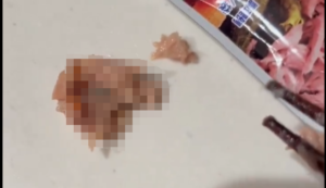 シーチキンに幼虫が混入した疑惑について、はごろもフーズが「絶対にありえない」と完全否定、その理由がこちら-同舟