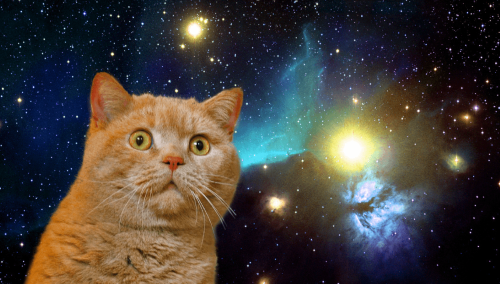 【情報の】トイレの個室にいたホームレス男性の○○が掴まれる事件が発生！！その内容が濃すぎた・・・【大渋滞】-同舟