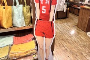 【悲報】『ハイキュー!!』の等身大パネル、酷すぎる誤解を受けてしまう-同舟