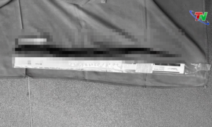 34歳男性「お尻に30センチの生きたウナギを入れたらどうなるんだろう」 → マジでヤバイことになって終わる・・・-同舟