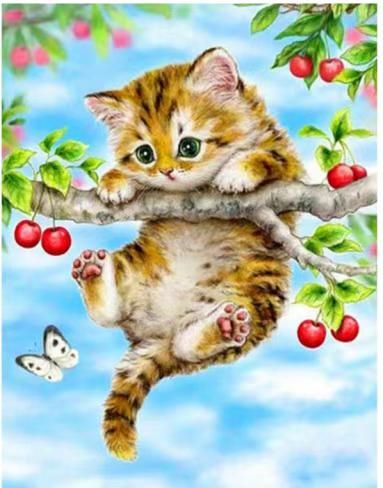 图片[3]-钻石画20元一副
四款可选-日本亚马逊论坛-海外推广-同舟