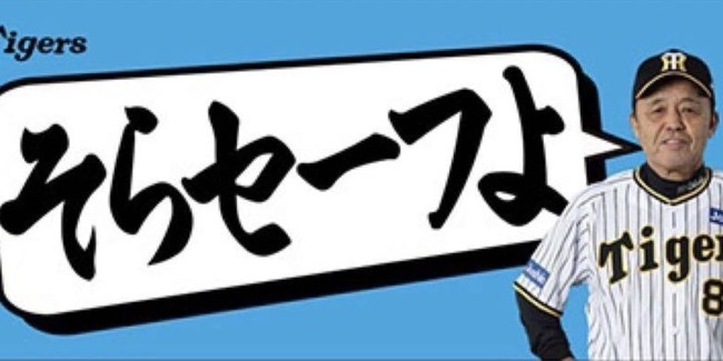 【放送事故】プロ野球の審判、世紀の大誤審をしてしまうｗｗｗｗｗｗ-同舟