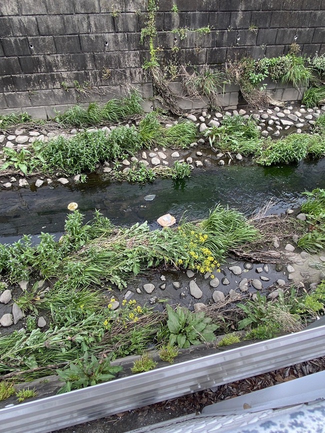 图片[4]-Amazonの置き配を盗んで◯◯するジジイが登場、どういう行動原理なんだこれ-同舟