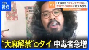 大麻を所持した疑いで逮捕された高校生4人、マジでヤバい発言をする・・・これ、大麻支持者はどうすんの-同舟
