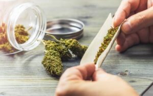 アメリカの大麻規制、◯◯並みに分類変更されてしまう模様・・・-同舟