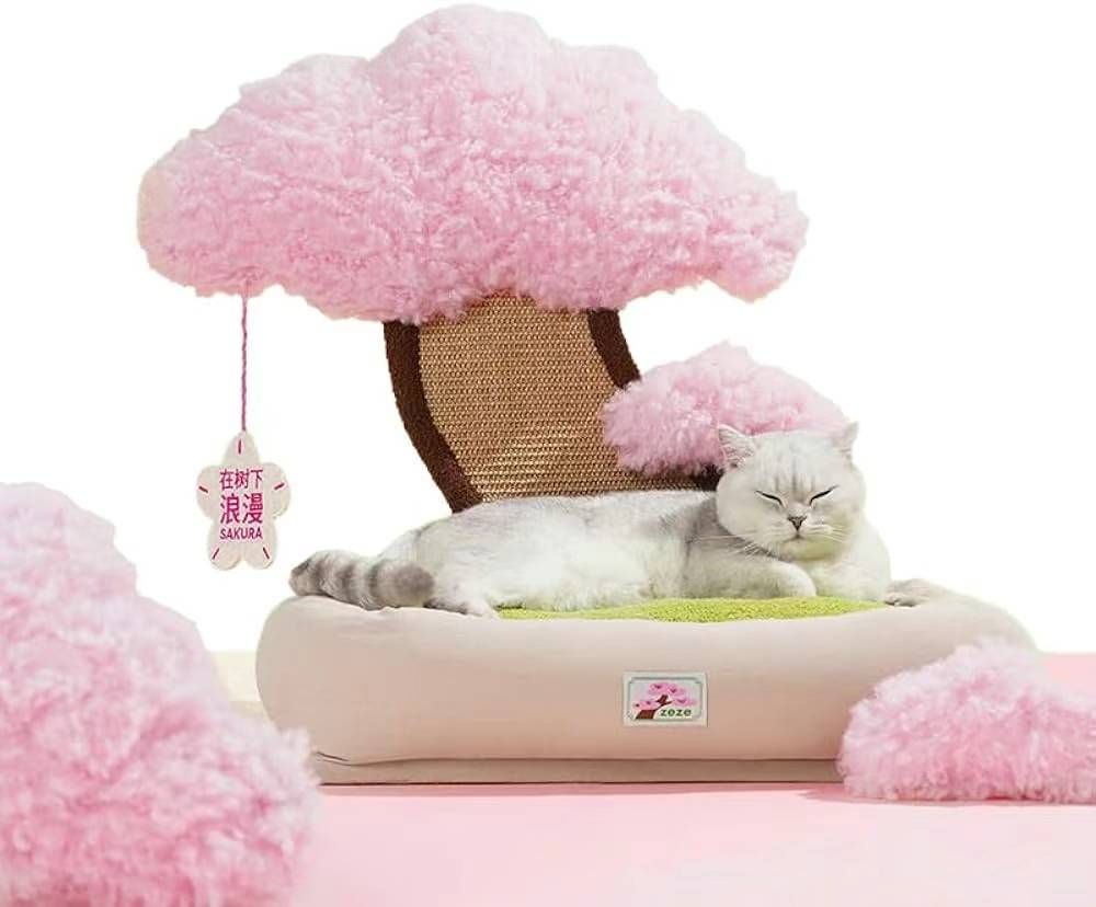 图片[1]-猫窝带猫爬架
绿色：
55*45*55cm中号一个起110元
65*5…-日本亚马逊论坛-海外推广-同舟