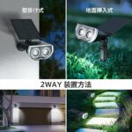 两个装
30套起不零售-同舟