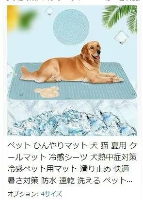 点星免费-日本亚马逊论坛-海外推广-同舟