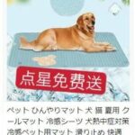 雅虎雨鞋留评免费-同舟