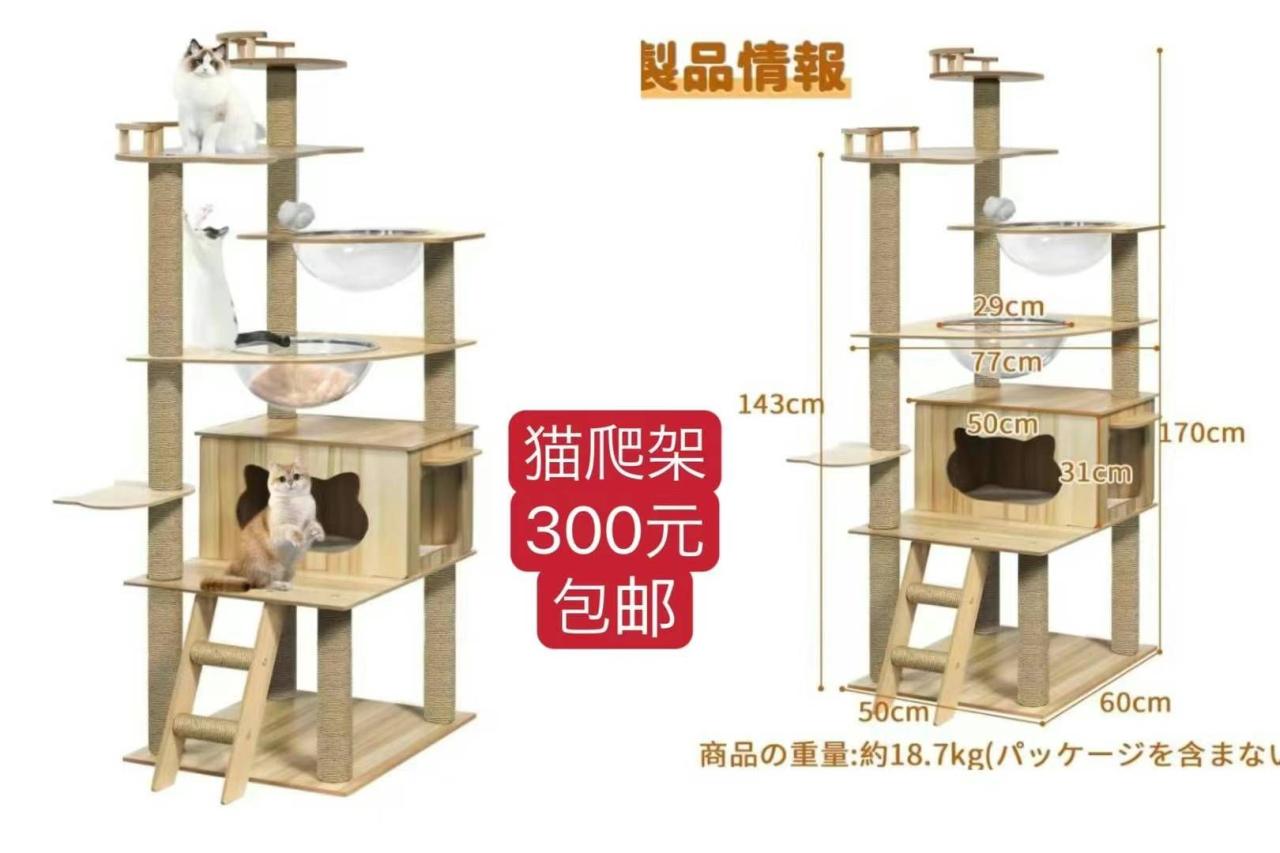 图片[7]-成人儿童防晒衣泳衣清仓啦-日本亚马逊论坛-海外推广-同舟