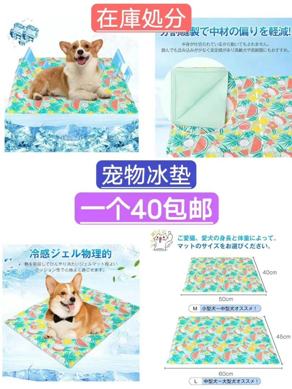 一波儿新品-日本亚马逊论坛-海外推广-同舟