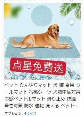 图片[1]--日本亚马逊论坛-海外推广-同舟