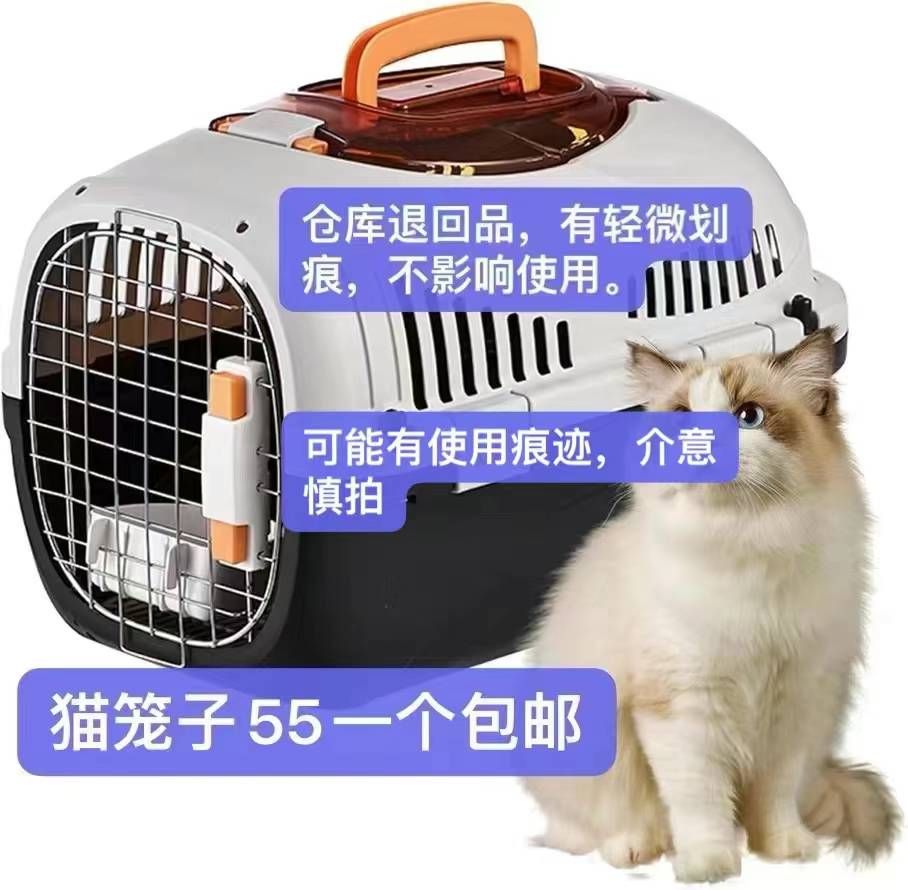 图片[2]-一波儿新品-日本亚马逊论坛-海外推广-同舟