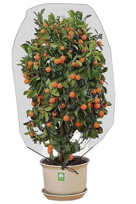 图片[1]-防虫袋子黑白两色可选35元包邮-日本亚马逊论坛-海外推广-同舟