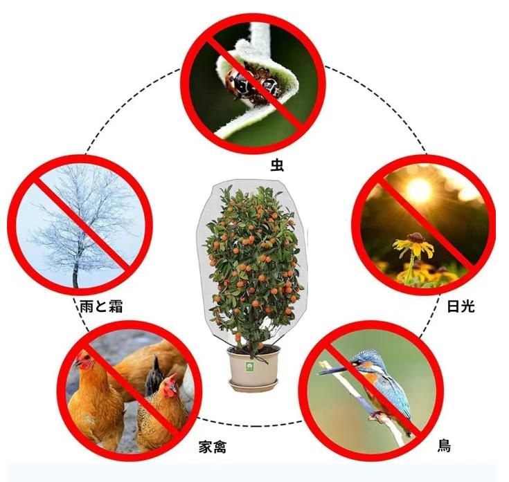 图片[4]-防虫袋子黑白两色可选35元包邮-日本亚马逊论坛-海外推广-同舟