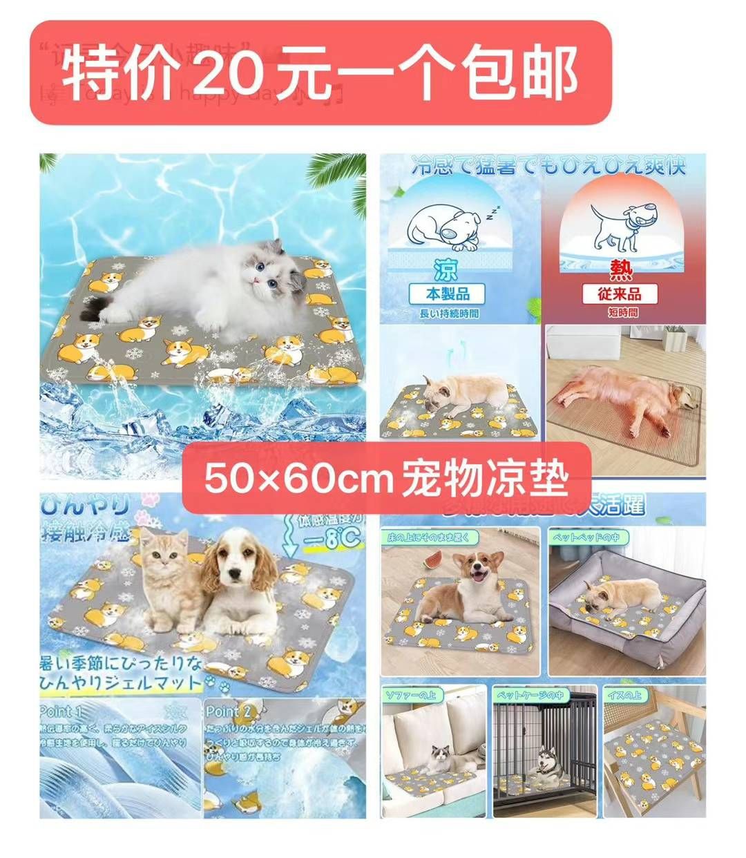 -日本亚马逊论坛-海外推广-同舟