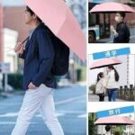 八股自动雨伞
两个颜色一共一百多个十几元打包带走-同舟