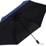 六股雨伞100个起
13元-同舟