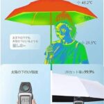 六股雨伞100个起
13元-同舟