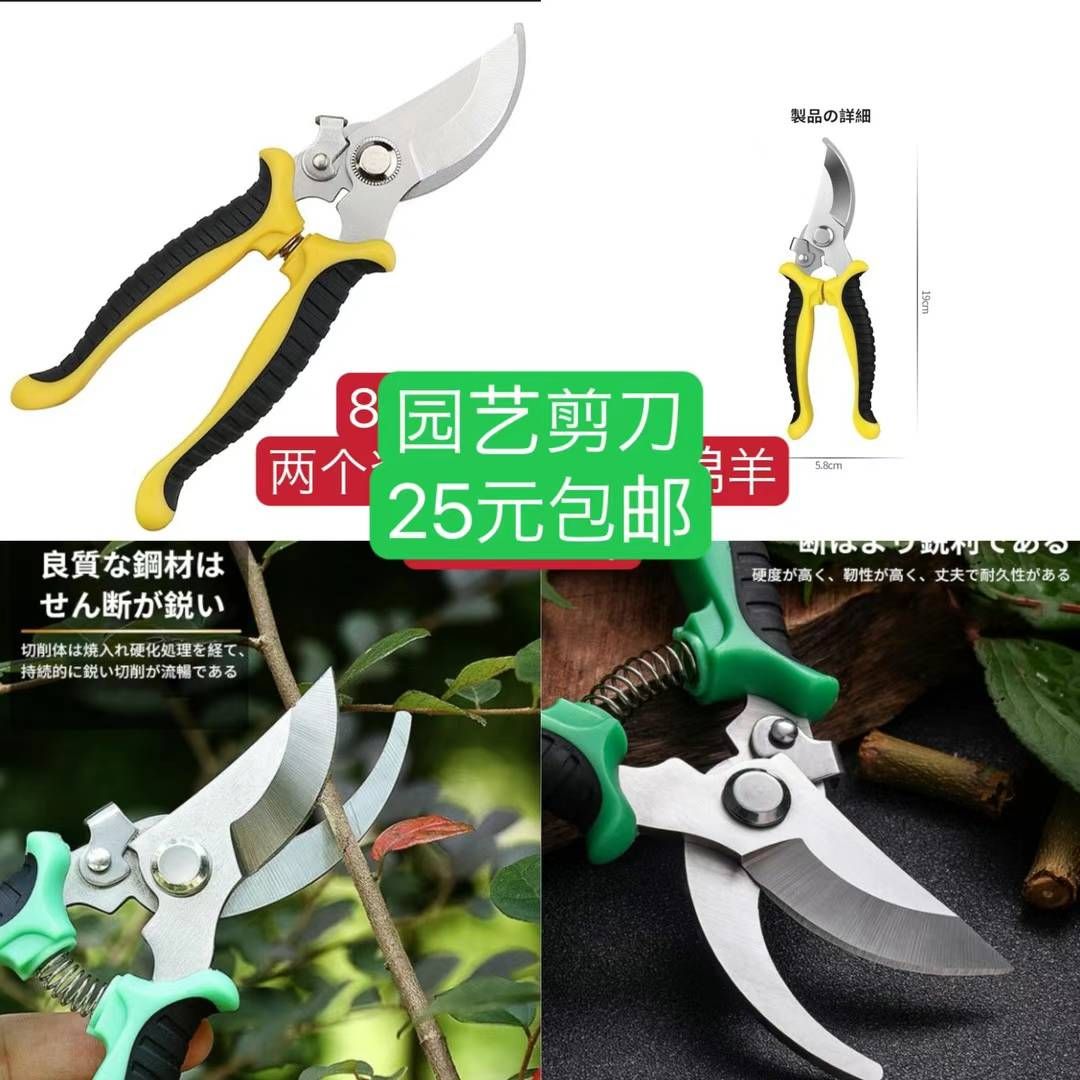 图片[1]-整理一波儿新品-日本亚马逊论坛-海外推广-同舟