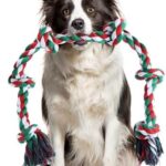 Oziral 犬おもちゃ ロープ 噛むおもちゃ 天然コットン 犬の玩...-同舟
