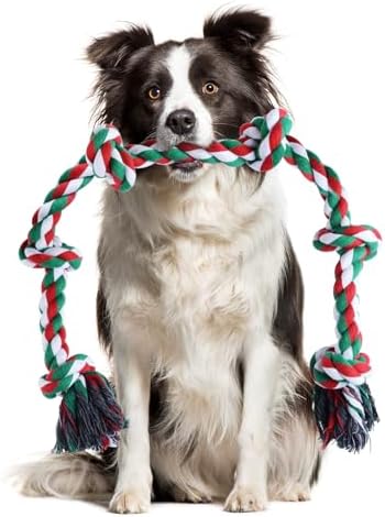 图片[1]-Oziral 犬おもちゃ ロープ 噛むおもちゃ 天然コットン 犬の玩…-日本亚马逊论坛-海外推广-同舟