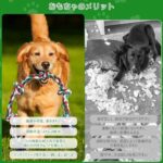 Oziral 犬おもちゃ ロープ 噛むおもちゃ 天然コットン 犬の玩...-同舟