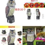 一波儿新品-同舟