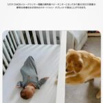 这款是3MP的双频室内机器      
 一个起，130元一个包邮-同舟
