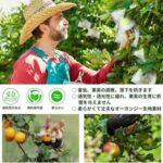 纱网纱袋 白色 60个装 17*23

22元包邮-同舟